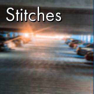 Stitches