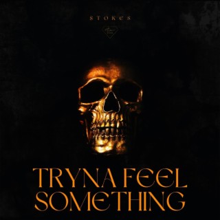Tryna Feel $omething lyrics | Boomplay Music