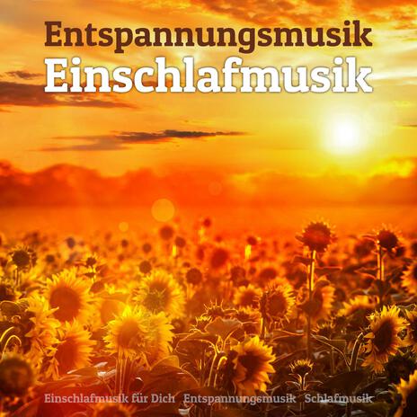 Musik zum Lernen ft. Schlafmusik & Einschlafmusik für Dich