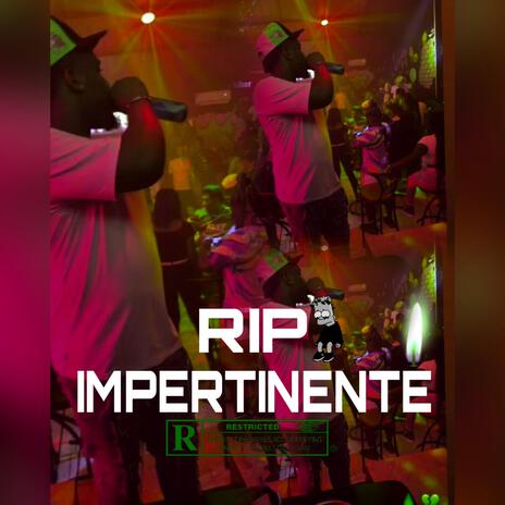 IMPERTINENTE | Boomplay Music