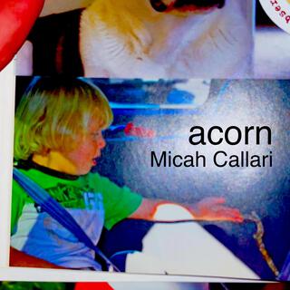 acorn