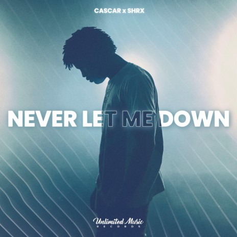 Never Let Me Down ft. SHRX | Boomplay Music
