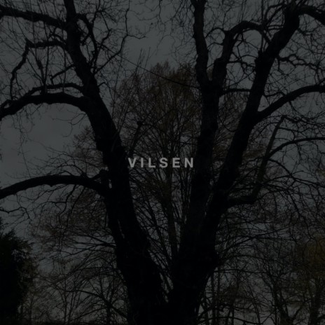 Vilsen