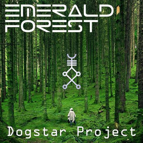 Emerald Forest | Boomplay Music