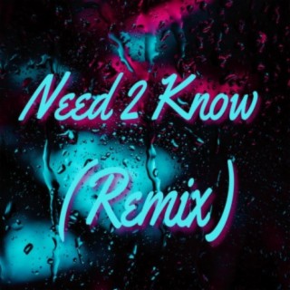 Need 2 Know (Remix)
