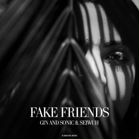 Fake Friends (Original Mix) ft. Seiwuh