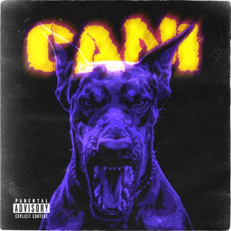 Cani | Boomplay Music