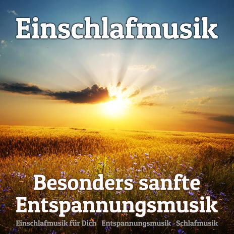 Stille Offenbarung ft. Schlafmusik & Einschlafmusik für Dich | Boomplay Music