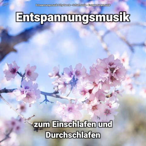 Entspannungsmusik zum Einschlafen Teil 96 ft. Schlafmusik & Entspannungsmusik