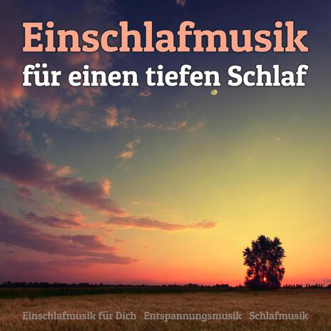 Instrumentalmusik zum Lernen ft. Entspannungsmusik & Einschlafmusik für Dich | Boomplay Music