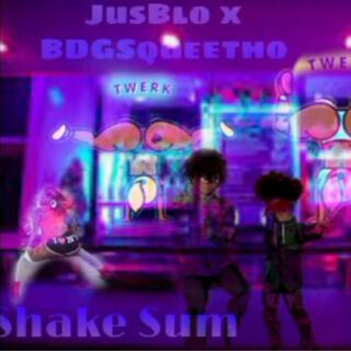 Shake Sum