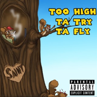 Too High Ta Try Ta Fly