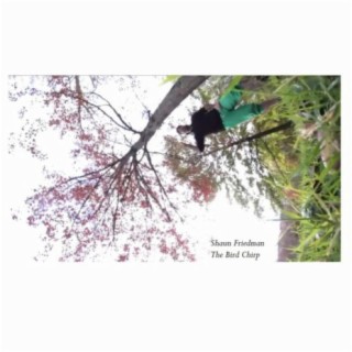 The Bird Chirp lyrics | Boomplay Music