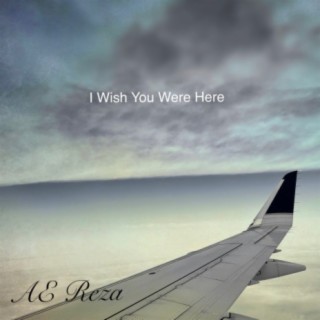 I Wish You Were Here