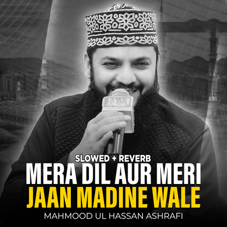 Mera Dil Aur Meri Jaan Madine Wale (Lofi-Mix) | Boomplay Music