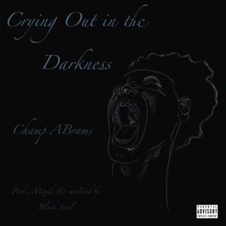 Crying Out in the Darkness ft. Black Seoul lyrics | Boomplay Music