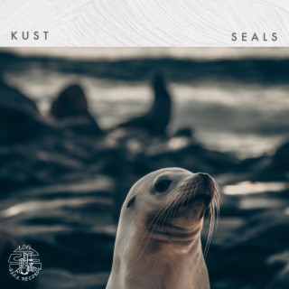 Seals