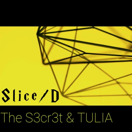 Slice/D ft. The S3cr3t