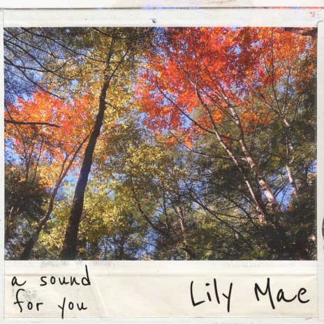 Lily Mae | Boomplay Music