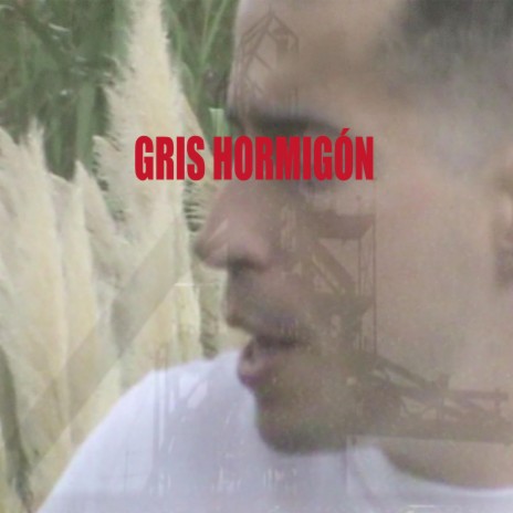 Gris Hormigon | Boomplay Music