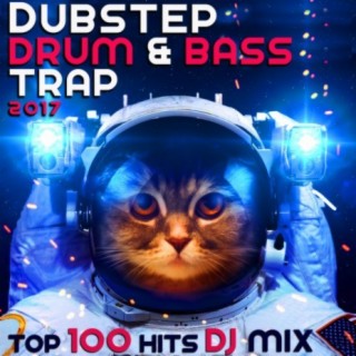 Dubstep Drum & Bass Trap 2017 Top 100 Hits DJ Mix