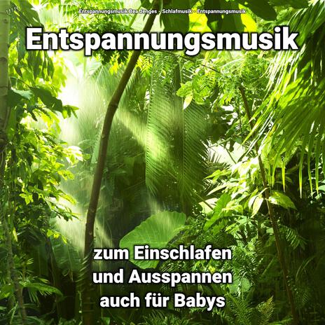 Entspannungsmusik zum Einschlafen auch für Babys Teil 60 ft. Schlafmusik & Entspannungsmusik