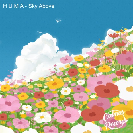 Sky Above ft. Calmas Records | Boomplay Music