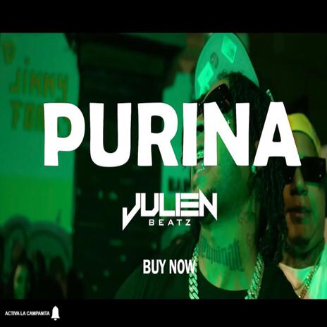 Purina | Boomplay Music