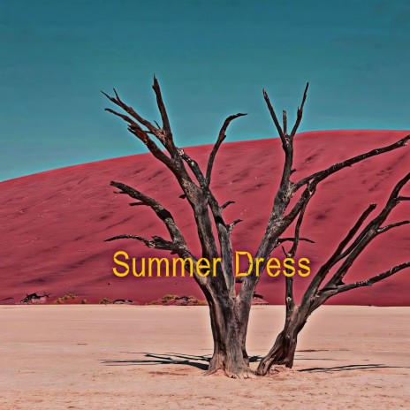 Summer Dress | Boomplay Music