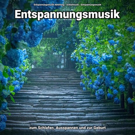 Entspannungsmusik ft. Entspannungsmusik & Entspannungsmusik Abteilung | Boomplay Music