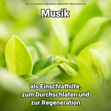 Musik als Einschlafhilfe und zur Regeneration Teil 6 ft. Schlafmusik & Entspannungsmusik zum Einschlafen