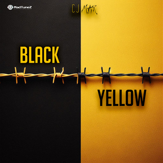 Black and Yellow