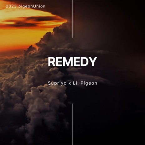 REMEDY ft. Supriyo Pal | Boomplay Music