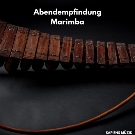 Das Lied der Trennung Marimba | Boomplay Music