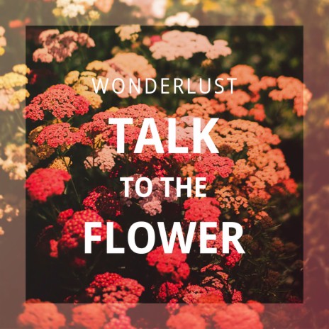 Talk To The Flower | Boomplay Music