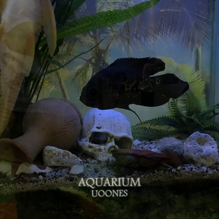 Aquarium