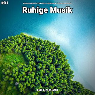 #01 Ruhige Musik zum Einschlafen