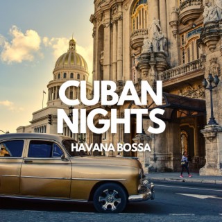 Cuban Nights