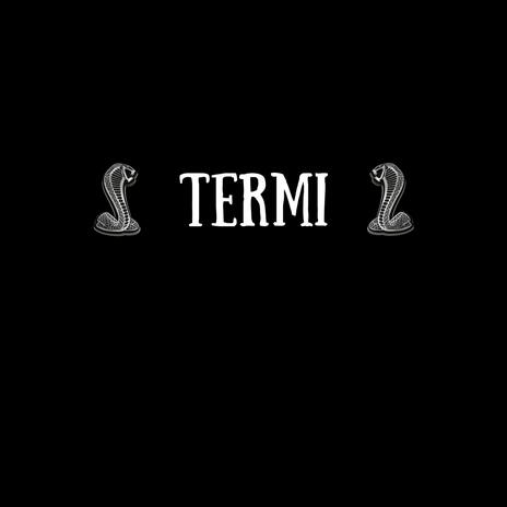 Termi | Boomplay Music