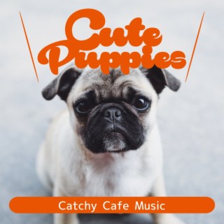 Catchy Cafe Music