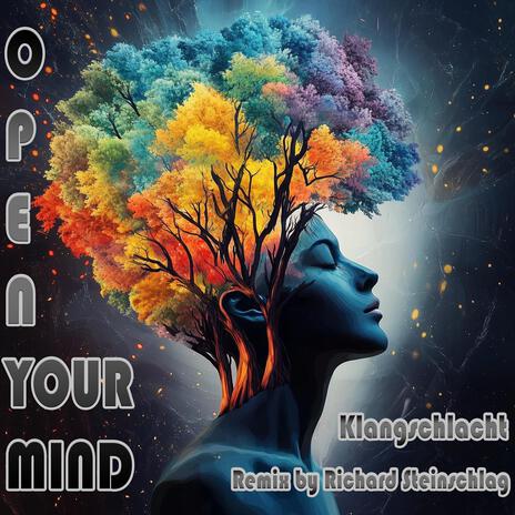 Open Your Mind (Richard Steinschlag Remix)