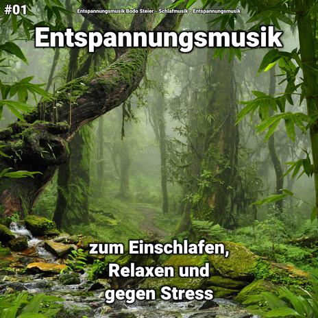 Entspannungsmusik für Massage ft. Schlafmusik & Entspannungsmusik