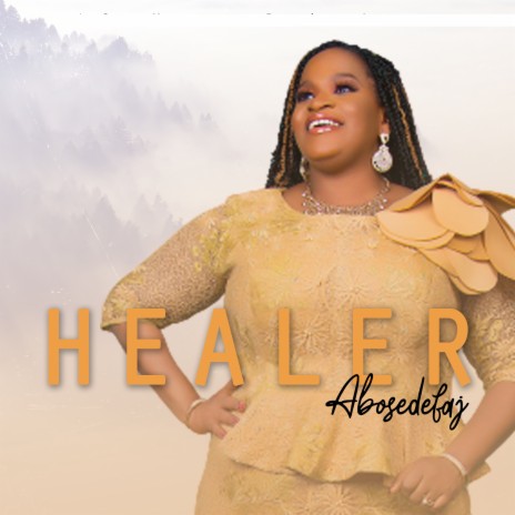 Healer | Boomplay Music