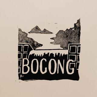 Bogong