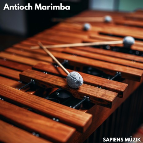 Agitato da fiere tempeste, Aria from Riccardo primo Marimba | Boomplay Music