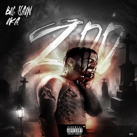 Zoo | Boomplay Music