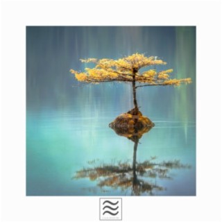 Restful Music of Relaxation Ambients