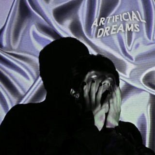 Artificial Dreams lyrics | Boomplay Music