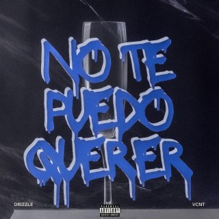 No Te Puedo Querer ft. VCNT lyrics | Boomplay Music