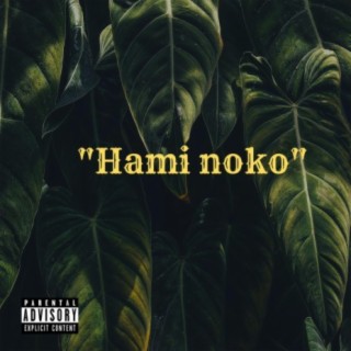 Hami Noko